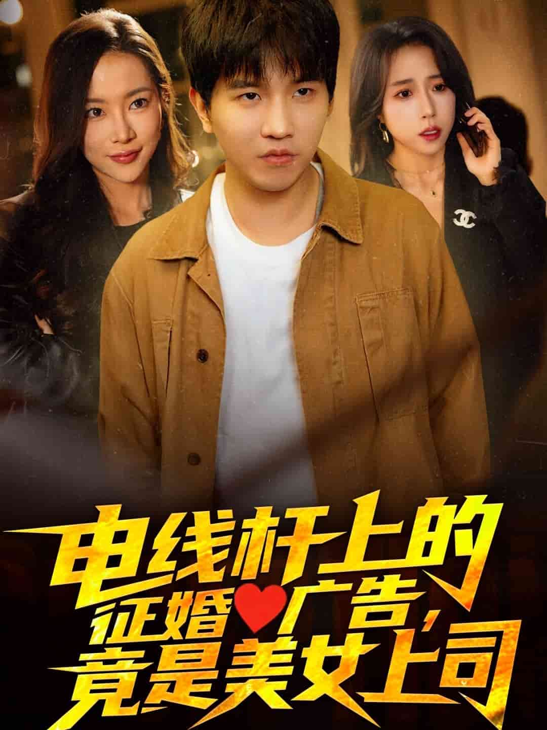 電線桿上的征婚廣告，竟是美女上司