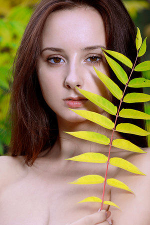 成全影院在线观看免费高清完整版电视剧